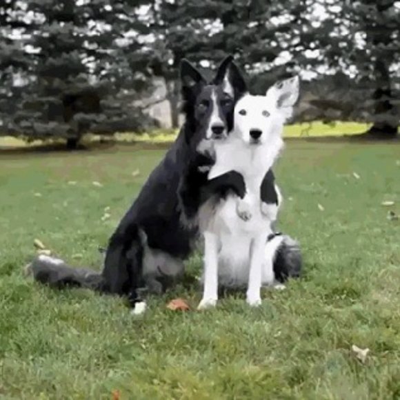 HAPPY VETERAN'S DAY EVERYDAY!! - Picture 5 of 16